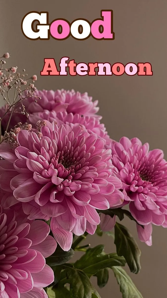 Good Afternoon Dp Image