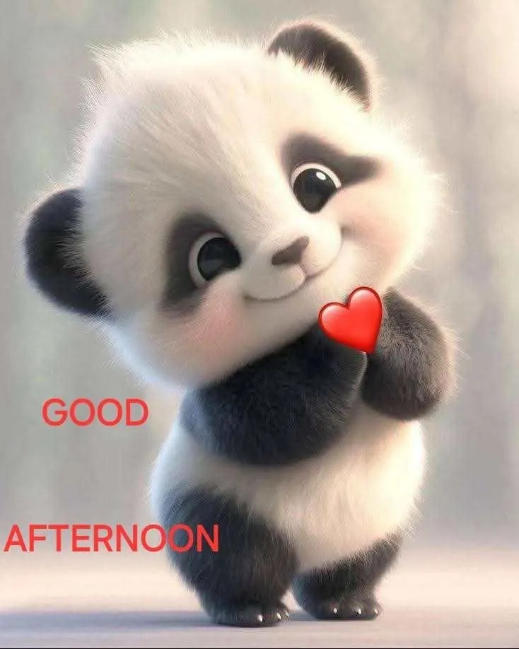 Good Afternoon Photo