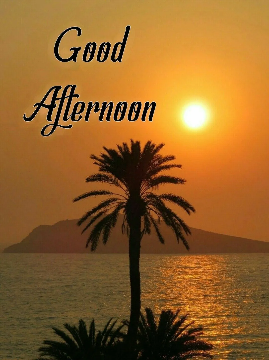 good afternoon images download