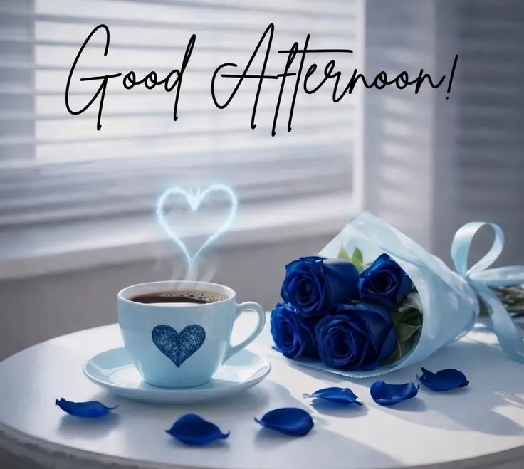 good afternoon photo hd