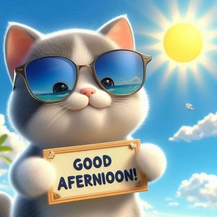 Good Afternoon Pics Good Afternoon Pics