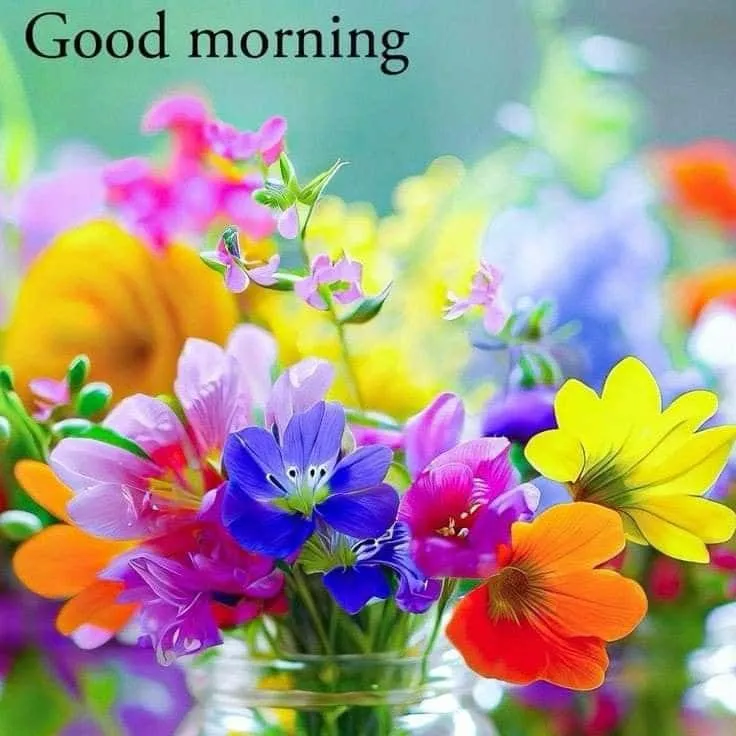 good-morning-flowers-photo-5 good morning flowers photo