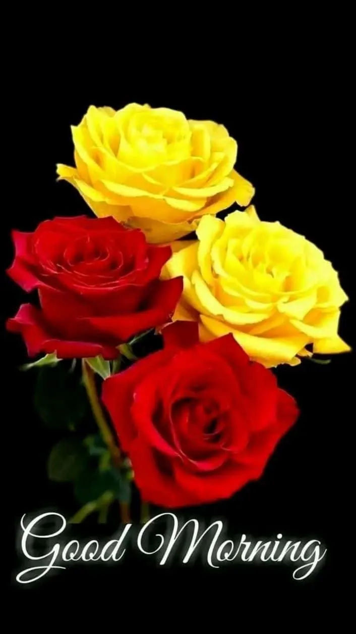 good-morning-image-of-flowers-1 good morning image of flowers