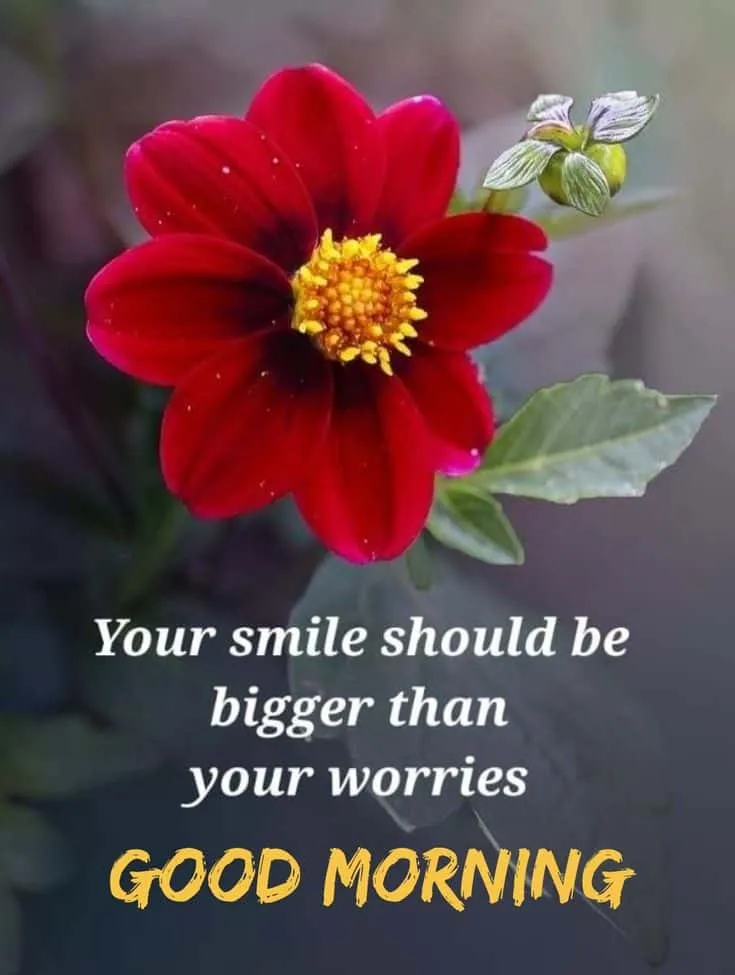 good-morning-images-with-flowers-3 good morning images with flowers