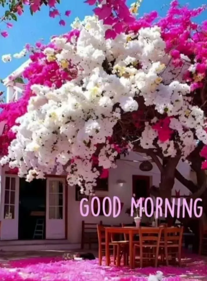 good-morning-images-with-flowers-5 good morning images with flowers