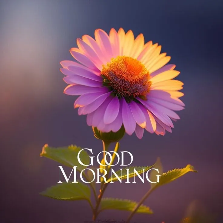 new-good-morning-images-with-flowers-7 new good morning images with flowers