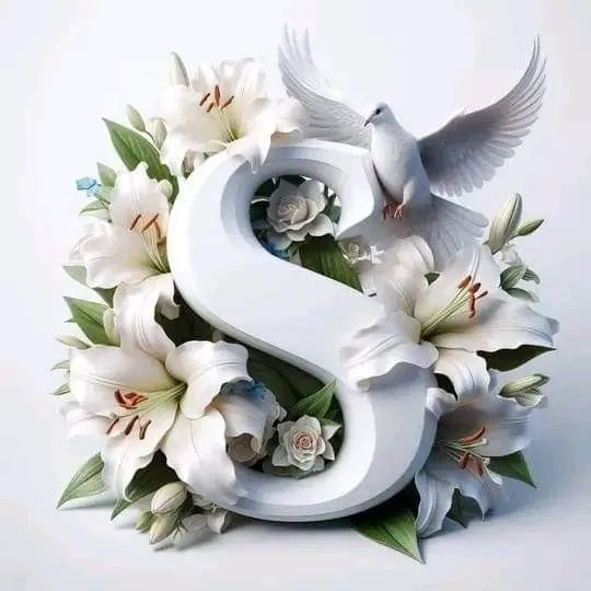 s-letter-dp-1 s letter dp